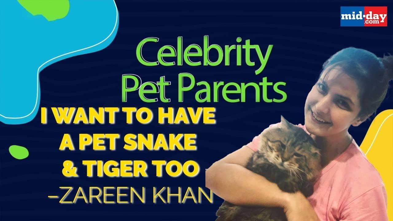 Meet Zareen Khan And Her Six Cats | Celebrity Pet Parents